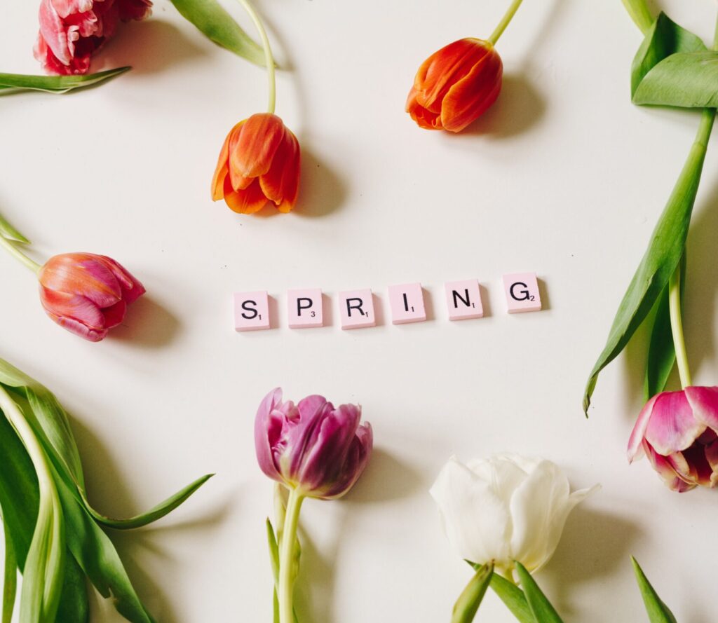 Brightly colored tulips frame scrabble pieces that spell out Spring