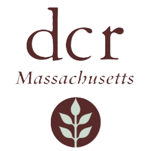 DCR logo